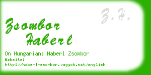 zsombor haberl business card